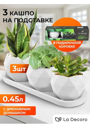 La Decoro Sukulentler İçin Saksı, Menekşe Saksıları, Kaktüs Saksısı. 332559406