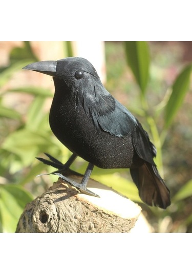 Xianwen Geeroyoo 3 Adet El Yapımı Siyah Tüylü Karga Süsü -