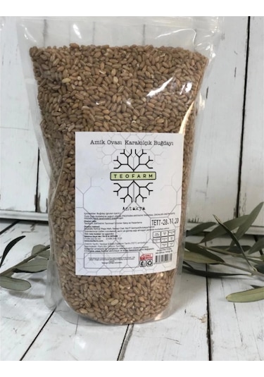 Teofarm Atalık Tohumdan Amik Ovası Karakılçık Buğday 1 KG