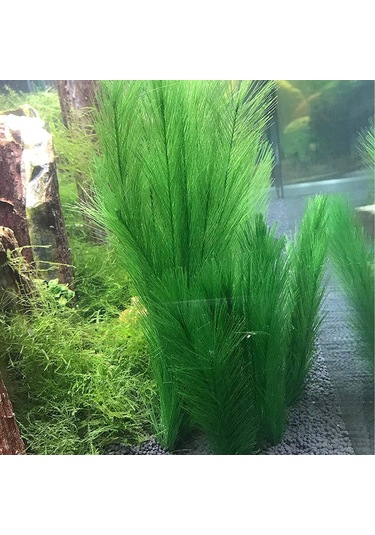 Vkemall Akvaryum Dekoru: 30cm Beyaz Tabanlı 3'lü Plastik Yapay Bitki Seti - Renkli Ve Gerçekçi Su Bitkileri