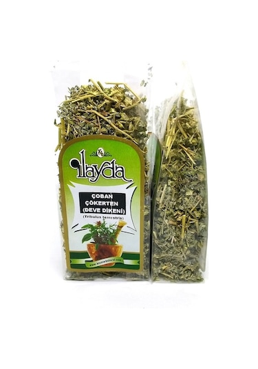 İlayda Çoban Çökerten 60 G