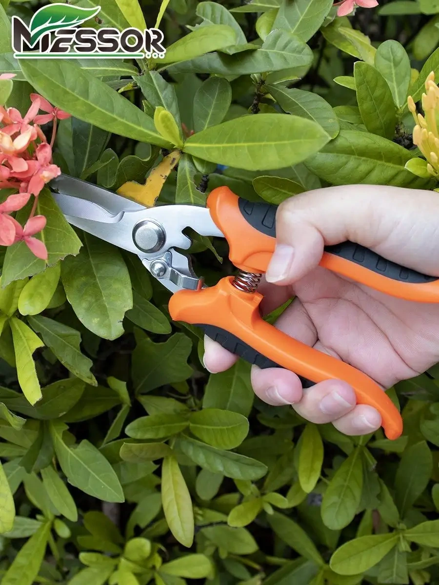 Messor Bahçe Makasları Mekanik, Şube Kesici Bahçe Ve Bitkiler İçin 85903336
