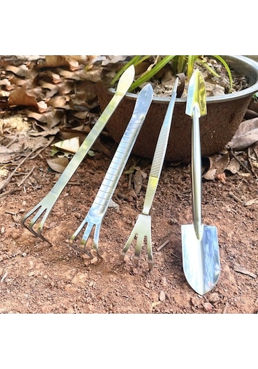 Pazly Yetiştirme Tırmık Suntek Stil-b Çatal Uçlu Bonsai 3 Kz