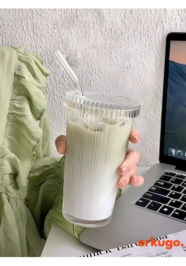 Erkugo Cam Kapaklı Pipetli Borosilikat Isıya Dayanıklı Sunum Bardağı Kahve Bardağı 400 ML Latte