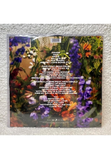 Little Mix - Between Us (Picture Disc - Leigh-Anne s Edition) (2 Plak)