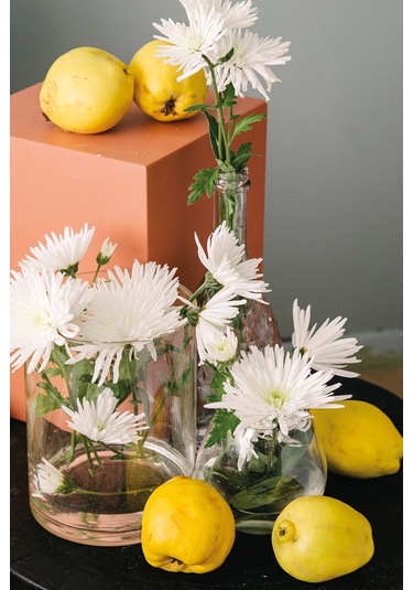 Tigres %60 Tencel Lyocell %40 Pamuk Dijital Saten Nevresim Takımı Aile Seti Çok Renkli