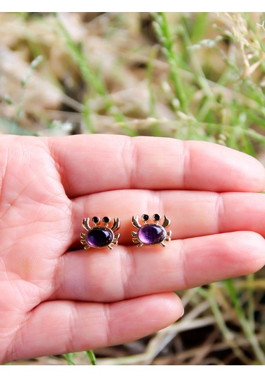 Esha Store Doğal Taş Ametist Doğal Taşlı Yengeç Altın Kaplama Kadın Küpe Euk21amt Mor