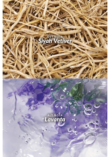 Avon Elite Gentleman in Black Erkek Parfüm EDT 75 ML