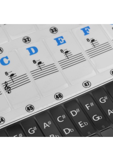 Lemestar "37-88 Tuşlu Piyano Klavyesi İçin Çıkarılabilir Müzik Notası Sticker Seti - Başlangıç Seviyesi"