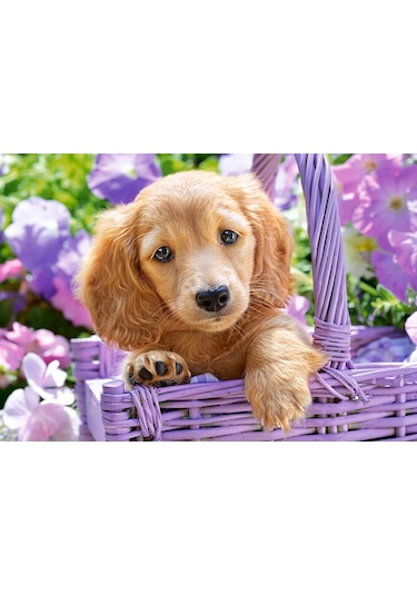 Castorland 1000 Parça Puzzle Puppy İn Basket