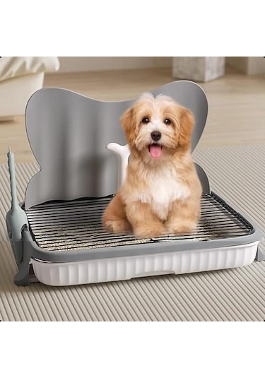 Kapalı Alan Köpek Tuvaleti