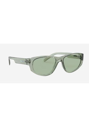 Arnette Ar4269 263482 Kadın Güneş Gözlüğü