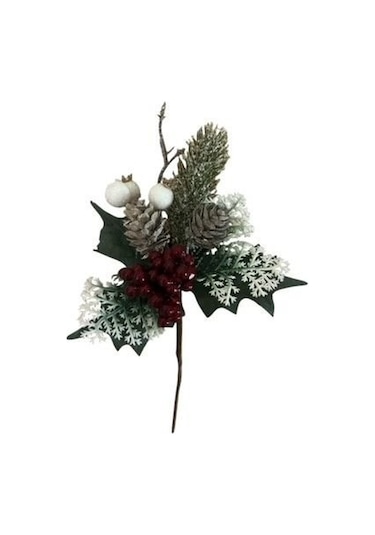 Yılbaşı Çiçeği Kokina