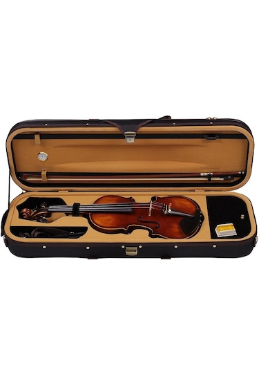 Carlovy Vla8 - 4/4 Keman Set