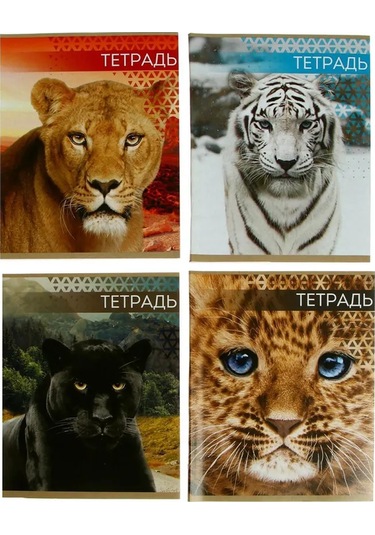 Calligrata Kurbağalar Not Defter 48 Yaprak 453831949