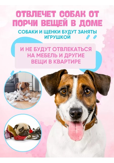 Anticarapki Köpekler İçin Kemik 252801247