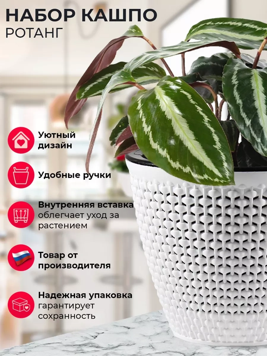 La Decoro Ev Bitkileri İçin Saksı, Çiçek Saksısı, Saksı 222603213