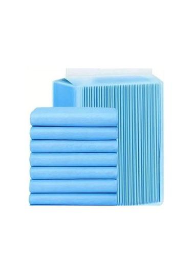 Hızlı Varış 50 Al 50 Bedava Yükseltilmiş Ve Kalınlaştırılmış Yüksek Kaliteli Süper Emici Köpek İdrar Pedi - Orta/büyük Köpekler İçin Uygun, Kamp/ev