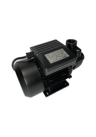 Qb 80 1 Hp 220v Termal Korumalı Bronz Fanlı Paslanmaz Temiz Su Pompası