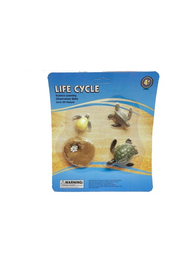 Calimera Toys Hayvan Figürleri Oyuncak Biyolojik Hayat Dönüşümü Kaplumbağa Hayvan