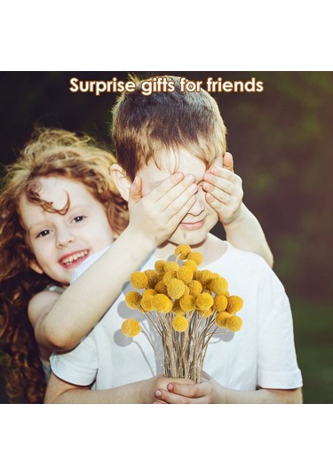 Gatherco 48 Adet Kurutulmuş Çiçekler Kurutulmuş Billyballs Kurutulmuş Craspedia Çiçekleri Düğme Sarı Kurutulmuş Çiçekler Sahte İpek Kurutulmuş Çiçek