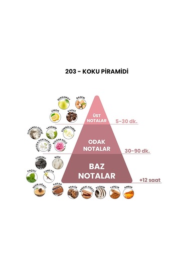 BEX 203 Kadın Parfüm EDP 50 ML