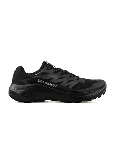 Salomon Alphaglide Gtx Erkek Koşu Ayakkabı L47802100 Renkli Renkli Çok Renkli