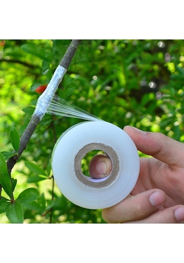 Şeffaf Bitki Aşı Bandı