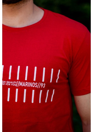 Erkek Kırmızı Çizgi Baskılı Normal Kesim Bisiklet Yaka Erkek Tişört 22etshmros 001