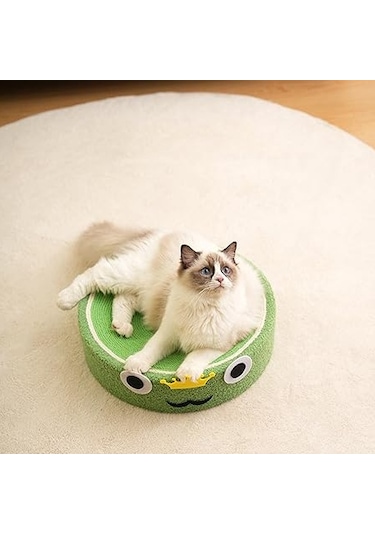 Raikou Kedi Tırmalama Alanı Kedi Oyun Alanı
