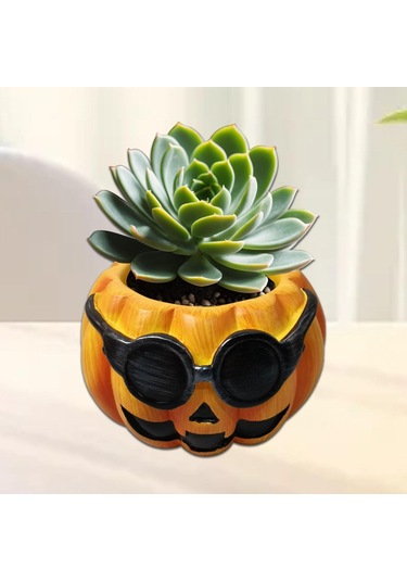 Suntek Kabak Saksı Hediye Dekorasyon Süsler Ev Mutfak Stil-b