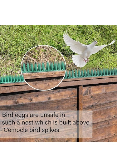 Tenfowee 10 Adet Yeşil Plastik Kuş Engeli Tespiti - 36 Cm Çıt Çıtlı Bahçe, Duvar, Eve Koruyucu Tırnaklar - 10 Yıl Dayanıklı
