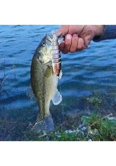 3 Adet 8 Eklemli 3d Oynak Rapala Sahte Balık Yem Seti Tatlı Ve Tuzlu Su Uyumlu Wobblers Swimbait