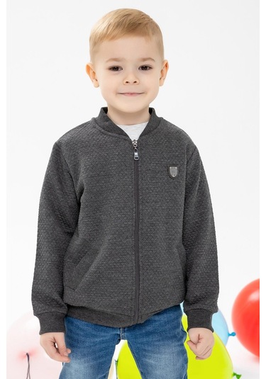 Breeze Erkek Çocuk Hırka Basic Cepli Armalı 2-6 Yaş, Füme-füme
