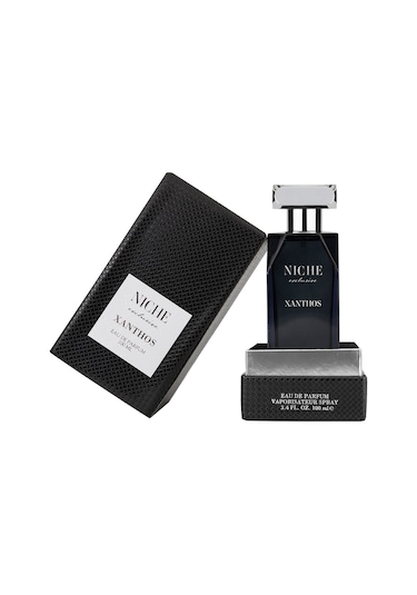 Niche Exclusive Xanthos Erkek Parfüm EDP 100 ML