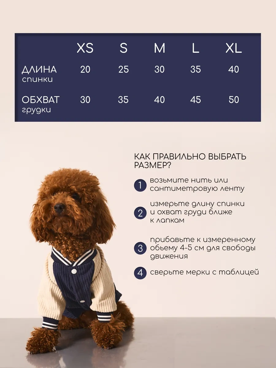 Petite Pets Küçük Irklar İçin Köpek Bombardıresi 338568297