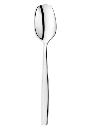 Schafer Sheen 24 Parça Çatal Kaşık Bıçak Takımı-gümüş22