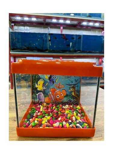 Canlipetshop Turuncu Renkli Mini Kare Akvaryum 20x20x15 CM