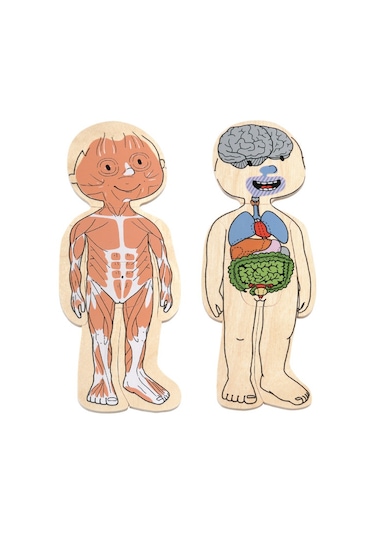 Beleduc Insan Anatomisi Puzzle Kız