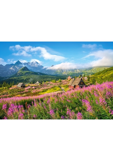 Castorland 1000 Parça Puzzle Hala Gasienicowa . Tatras . Poland