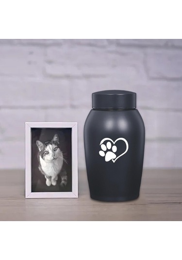 Homyl Paslanmaz Çelik Pet Urn Kremasyon 60 Lbs'ye Kadar Stil-a Altın