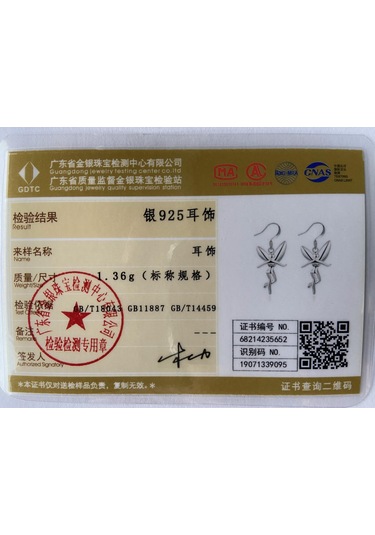 925 Ayar Gümüş Büyüleyici Küpe Moda Takı