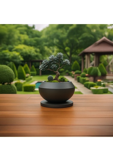 Dekoratif Bonsai Saksı