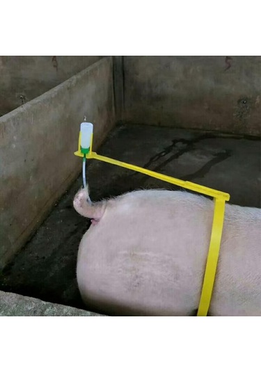 Homyl Sows Suni Tohumlama Klipsi Için Domuz Arka Kelepçe
