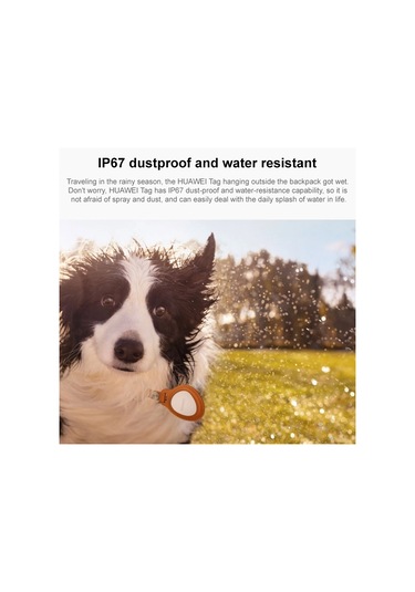 Sones Huaweı Tag Hafif Ve Kompakt Kayıp Önleyici Elf Evcil Hayvan Kayıp Önleyici Takip Cihazı