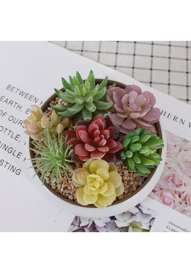 Xiyyadms Ta10 Dıy Yapay Sukulent Bitki Seti - Bakımı Olmayan Ev Dekorasyonu, Duvar Yeşilimi, Doğal Stili Evinizde