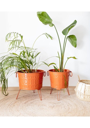 The Mia Prizma Vazo & Saksı Terracota 43x45 Cm
