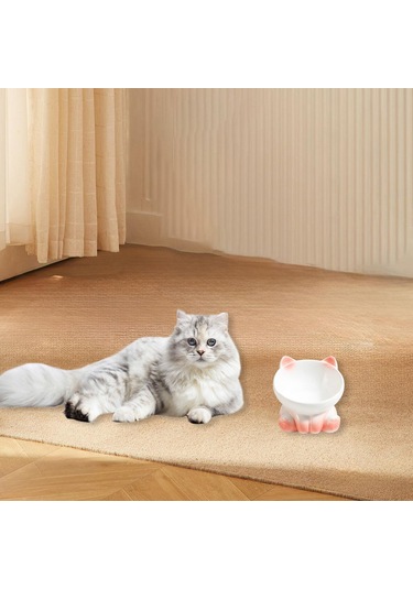 Homyl Kedi Mama Kasesi Minimalist Köpek Maması Ve Su Için