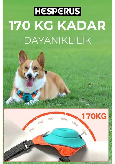 Hesperus Köpek Tasması Gövdelik Ve Göğüslük Otomatik Mavi-xs Mavi
