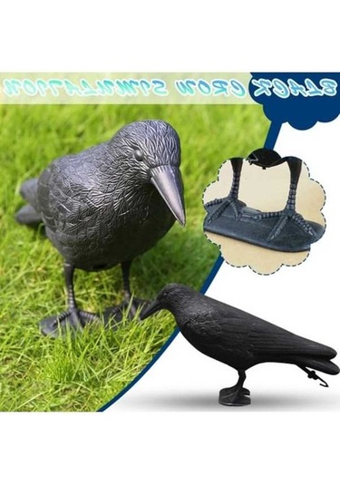 Dancemonkey Bitki Koruyucu Haşere Kovucu Heykel Karga+yıldız, Doğa İle Uyumlu Köpek